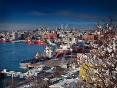 St. John's, harbour in winter